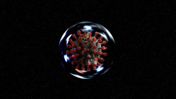 ‘Anticorpos caem rapidamente após a infecção’ por coronavírus, dizem cientistas