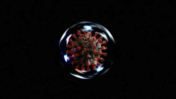 ‘Anticorpos caem rapidamente após a infecção’ por coronavírus, dizem cientistas