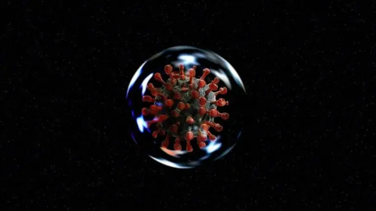 ‘Anticorpos caem rapidamente após a infecção’ por coronavírus, dizem cientistas