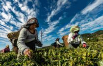 crédito rural para pequenos produtores