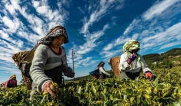 crédito rural para pequenos produtores