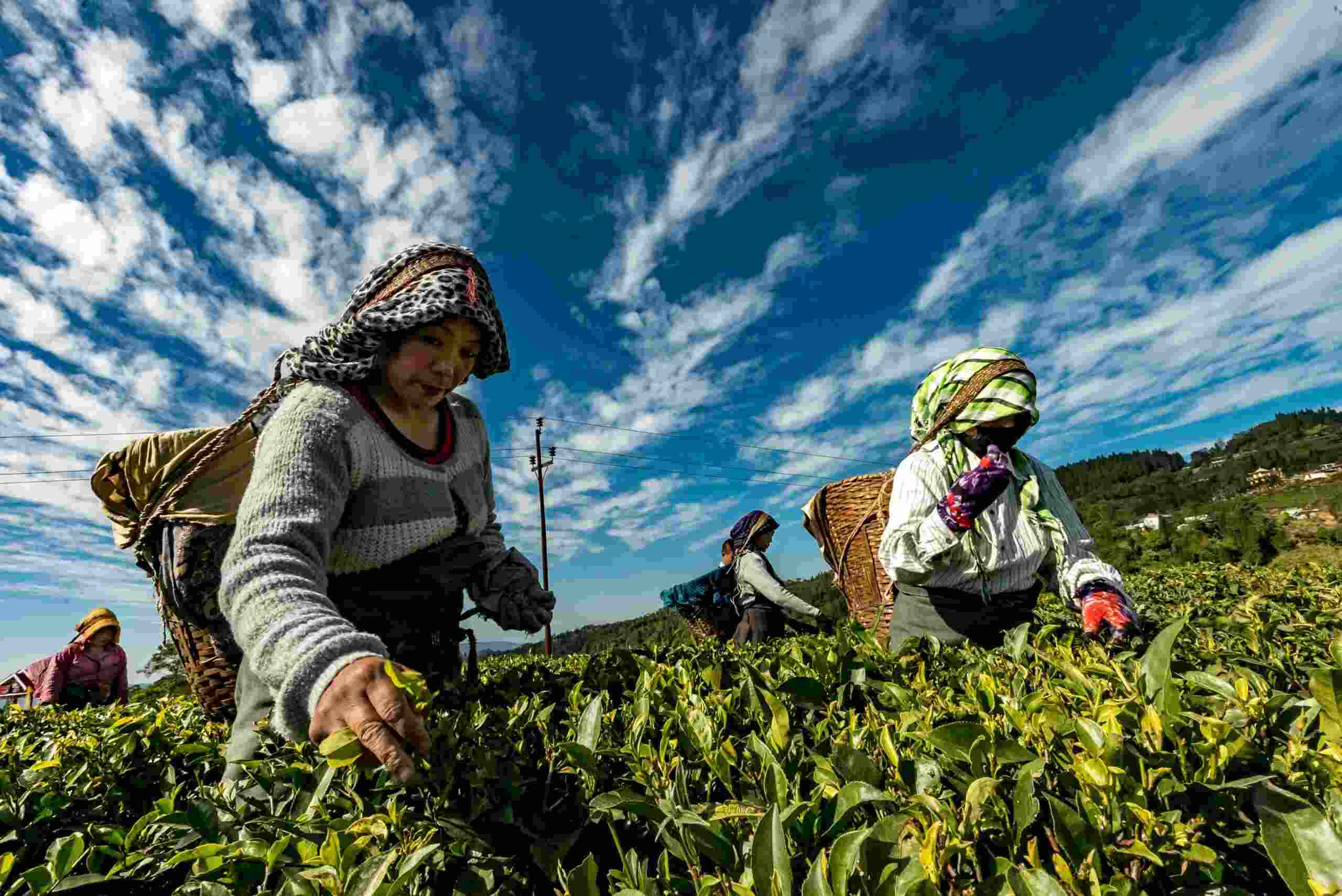 crédito rural para pequenos produtores