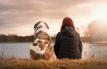 cães são os companheiros mais antigos