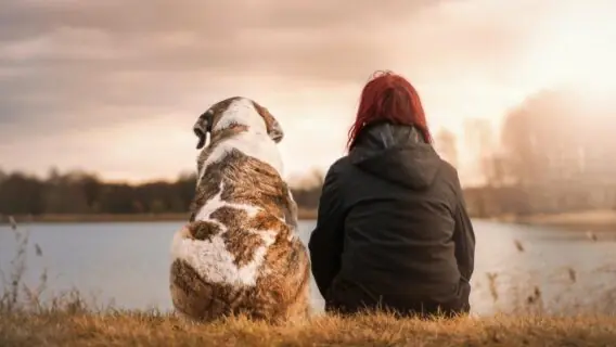 Os cães são os companheiros mais antigos dos humanos, mostra estudo