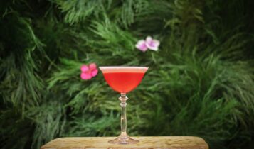 receita de daiquiri