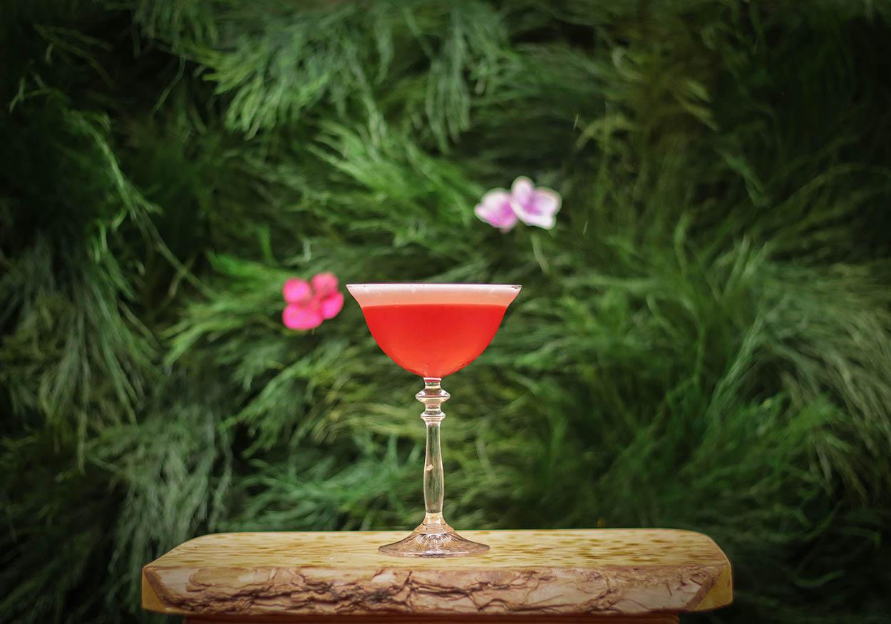 receita de daiquiri