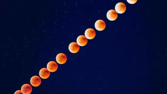 Lua tem influência no cabelo? Astrologia explica o verdadeiro significado