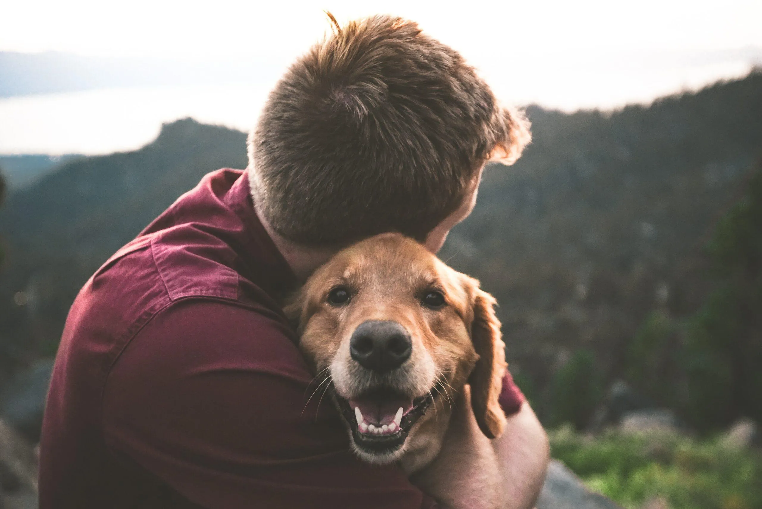 Animais falam de maneiras diferentes dos humanos