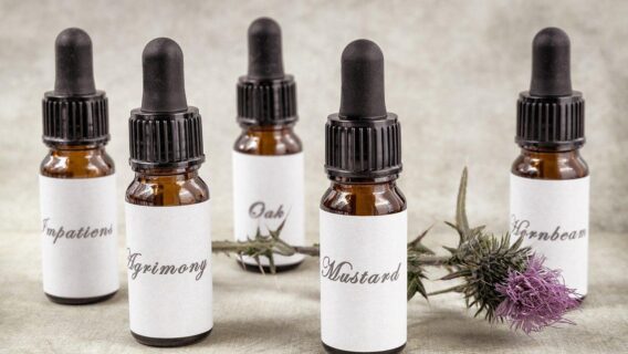 Florais de Bach: saiba como funcionam as gotas que aliviam aflições emocionais