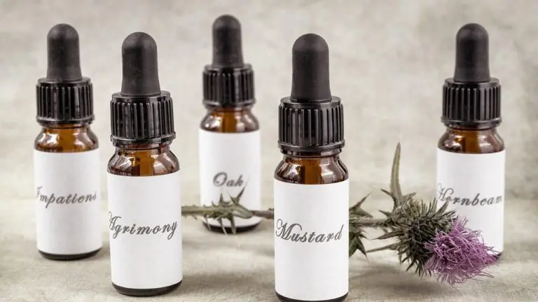 Florais de Bach: saiba como funcionam as gotas que aliviam aflições emocionais