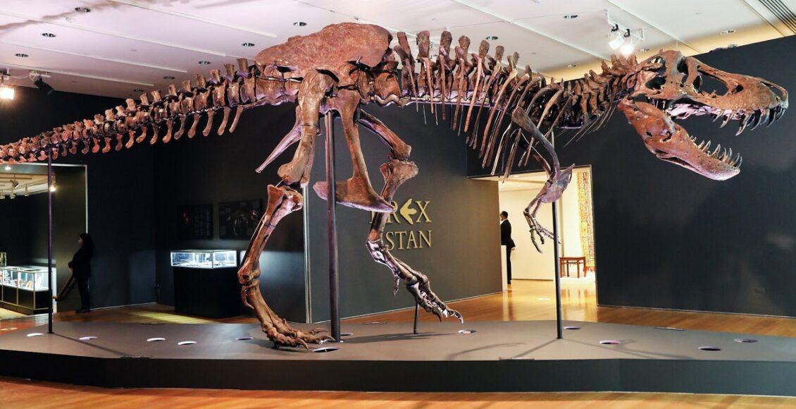 fóssil de T-Rex