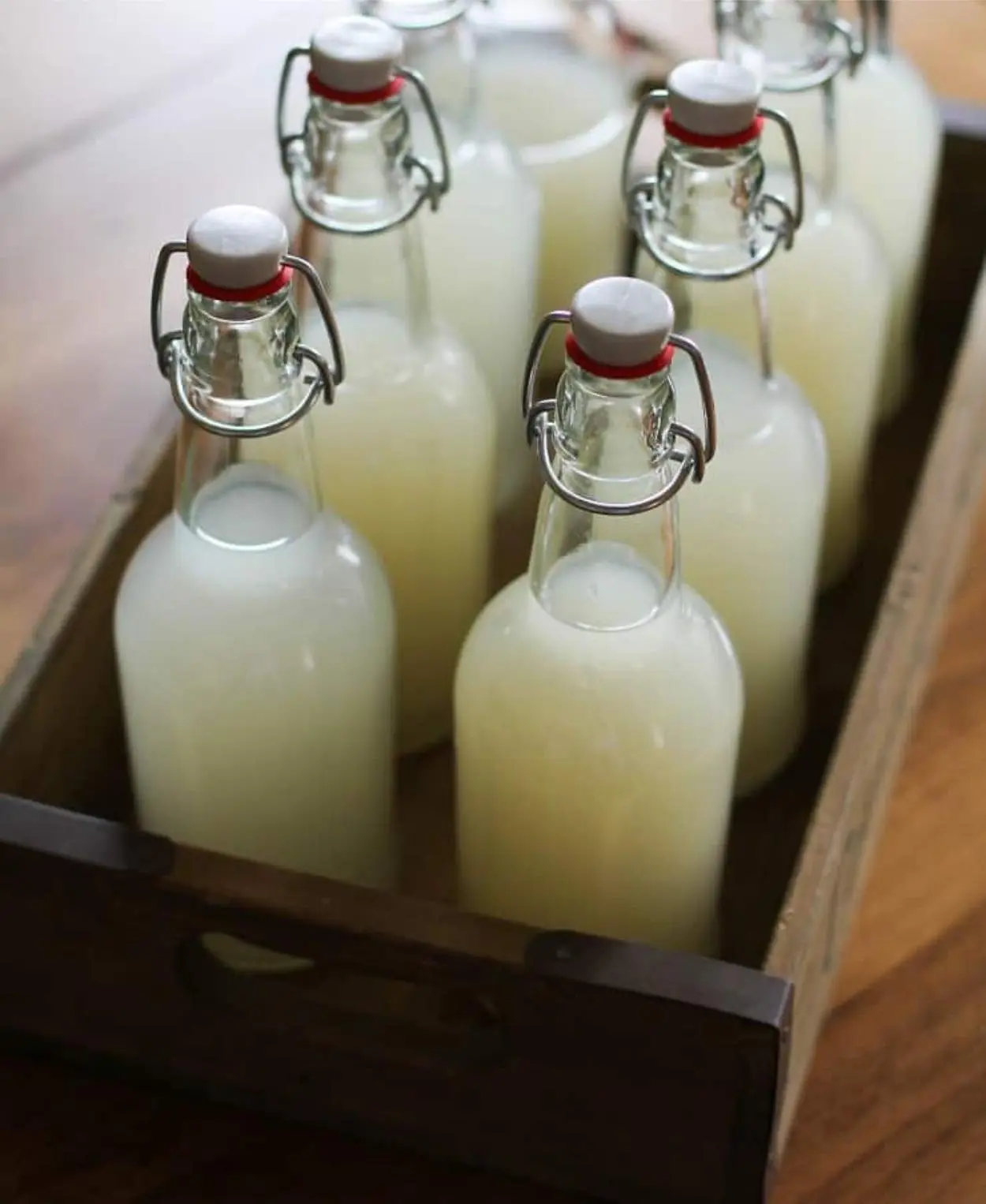 Receita de ginger beer caseira