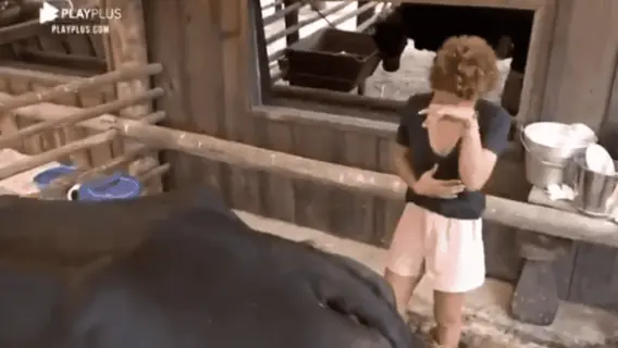 A Fazenda 2020: dente quebrado e chororô; o que rolou no fim de semana