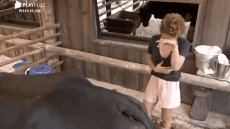 A Fazenda 2020: dente quebrado e chororô; o que rolou no fim de semana