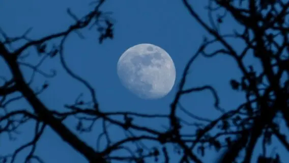 Lua Azul: fenômeno raro poderá ser visto no dia 31 de Outubro