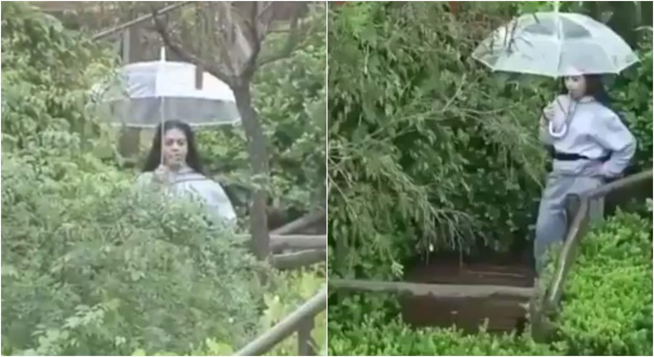 Imagem de MC Mirella em A Fazenda 12