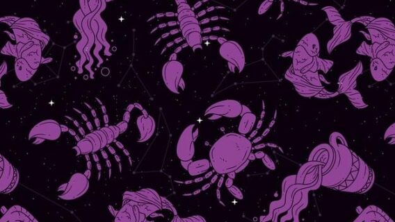 Signo oposto? Saiba como pode ajudar a entender melhor a sua vida