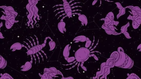 Signo oposto? Saiba como pode ajudar a entender melhor a sua vida