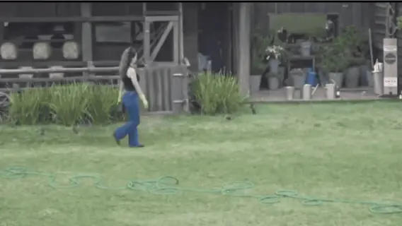 A Fazenda 2020: Luiza acusa produção e Playplus corta exibição; assista