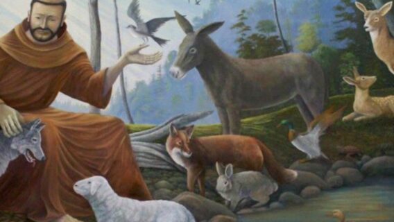 Aprenda a oração de São Francisco de Assis, protetor dos animais e dos pobres