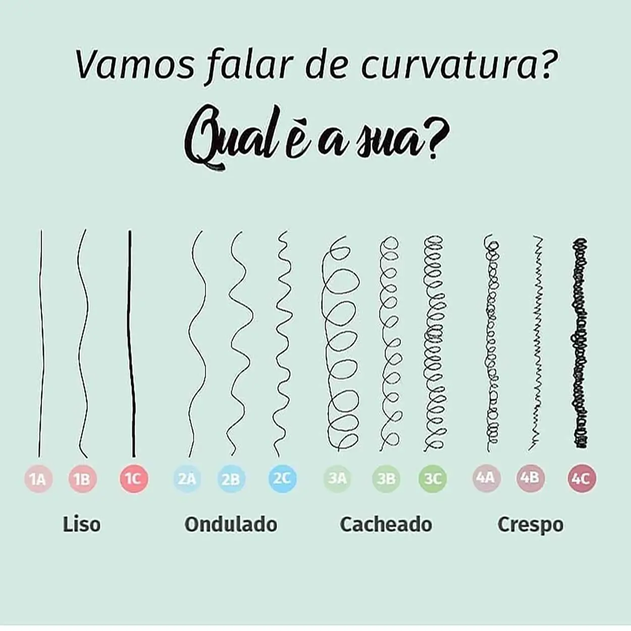 sistema de classificação de tipos de cabelo 