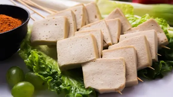Tofu: o que é, benefícios e como preparar a proteína vegana
