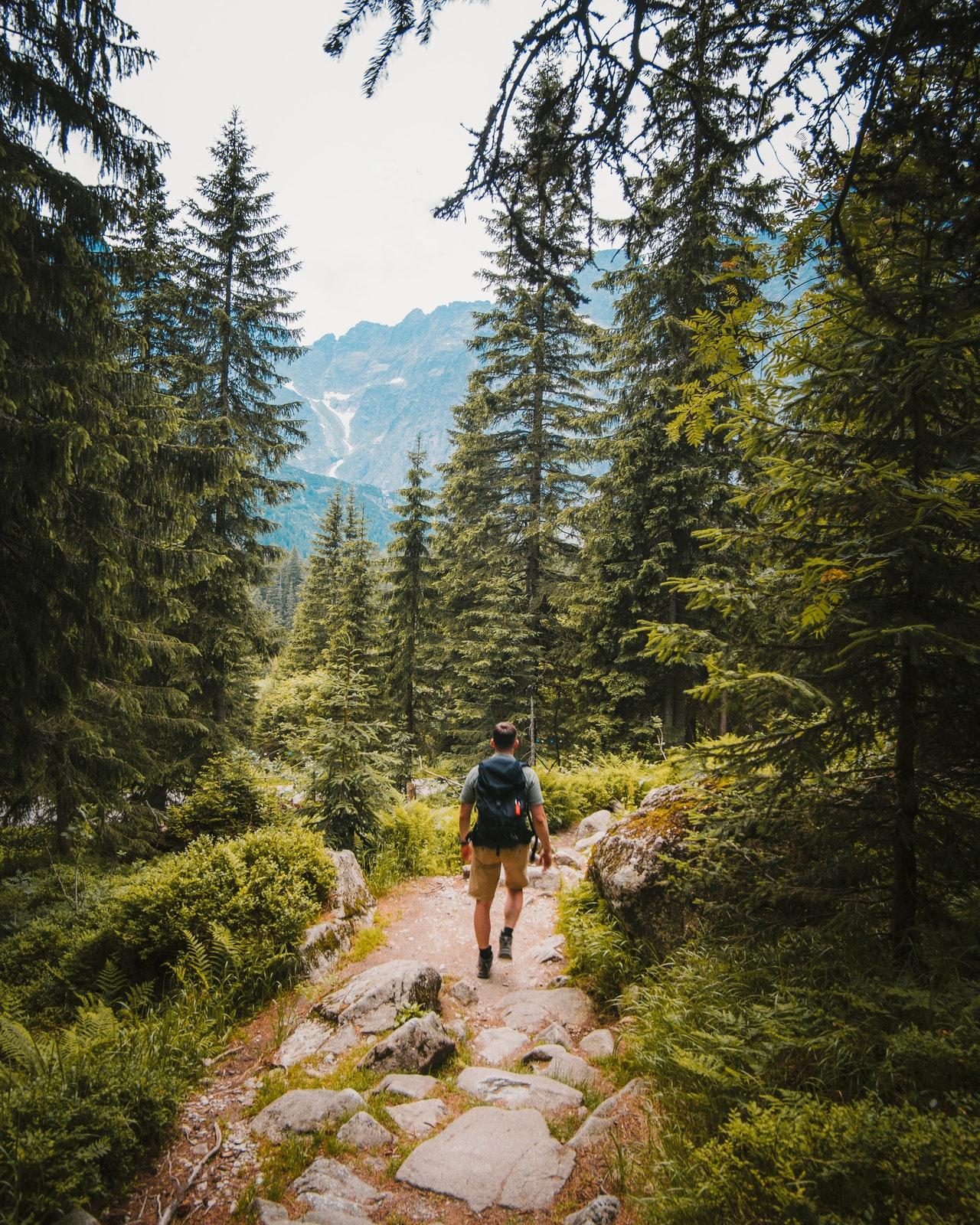 Turismo Sustentável Viajante