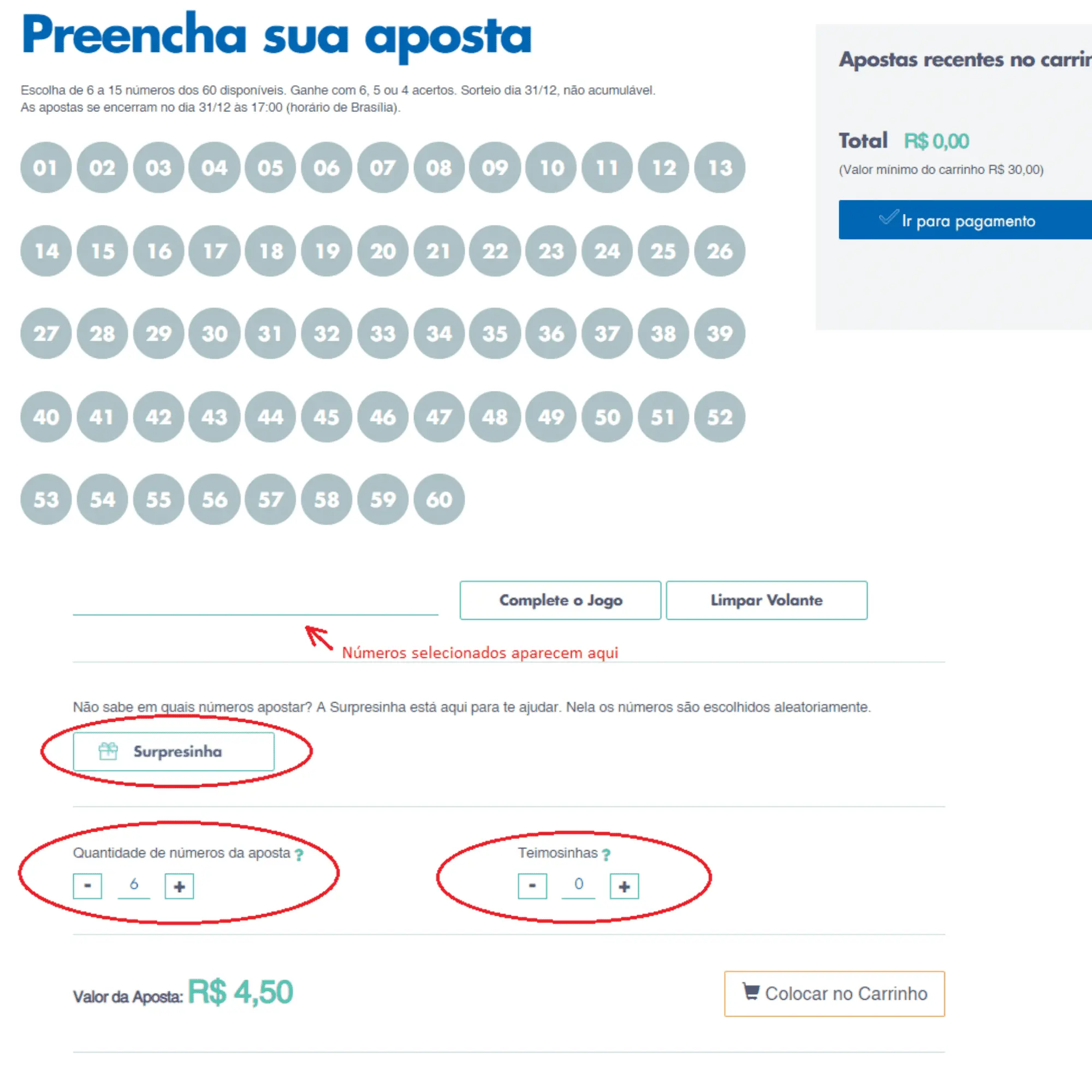 A imagem mostra um volante online da Mega da Virada