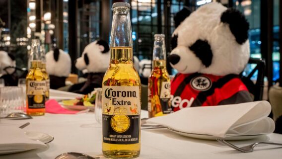 Coronavírus: Bar na Alemanha coloca pandas tomando cerveja para protestar