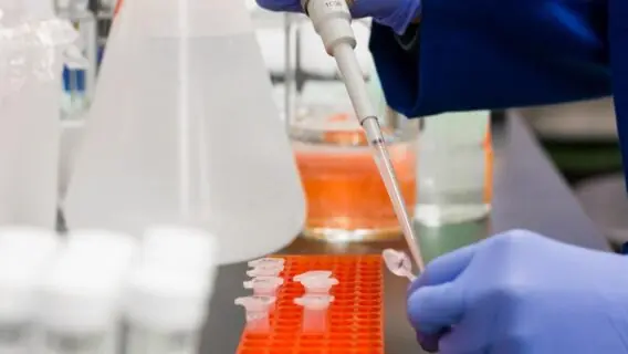 Células imunológicas estão respondendo à covid-19 seis meses após a infecção