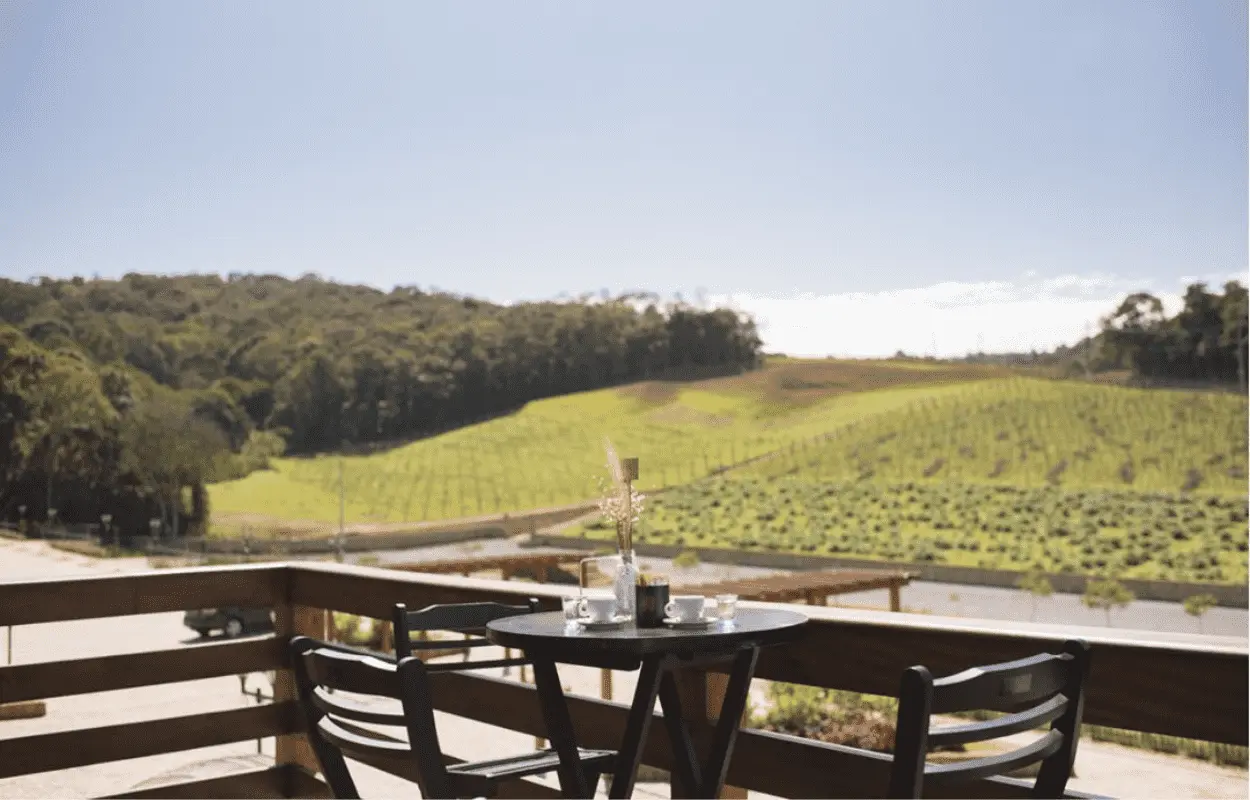 Imagem mostra vinícula do Roteiro do Vinho de São Roque