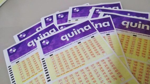 Resultado da Quina concurso 5498 (23/2); confira os números sorteados
