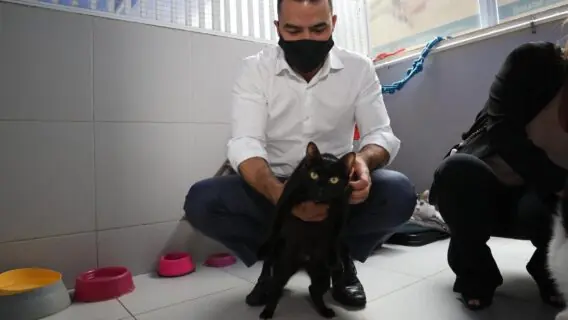 Arthur do Val pretende criar ‘Samu Animal’ na cidade de São Paulo