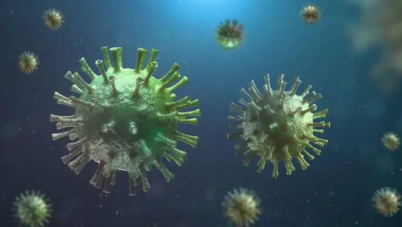 Coronavírus pode não ter surgido na China, dizem cientistas