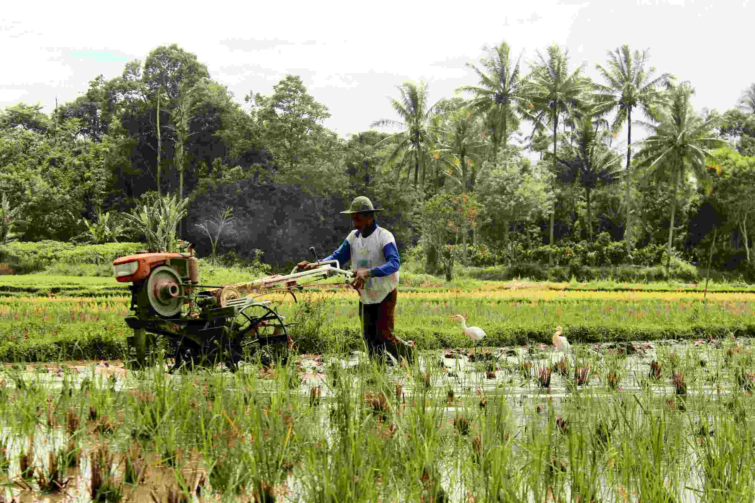 O que é crédito rural