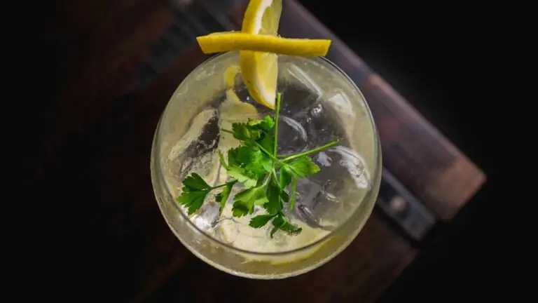 Drinks refrescantes: 5 versões para o verão 2021