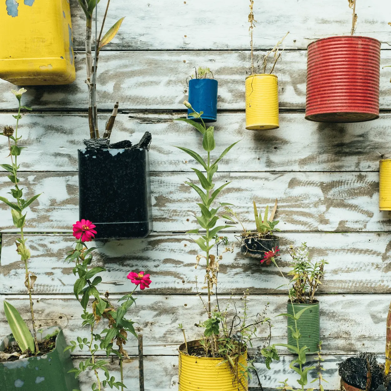 empreendimentos verdes