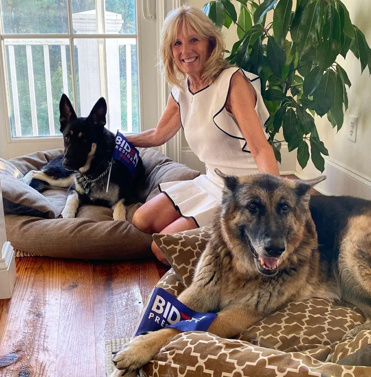 visual clássico e elegante