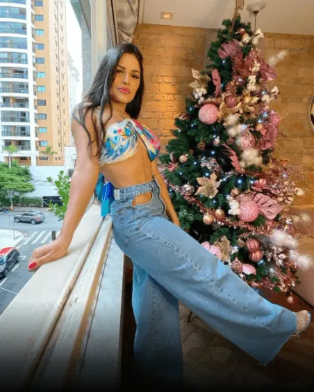 Imagem mostra árvore de Natal da Flayslane