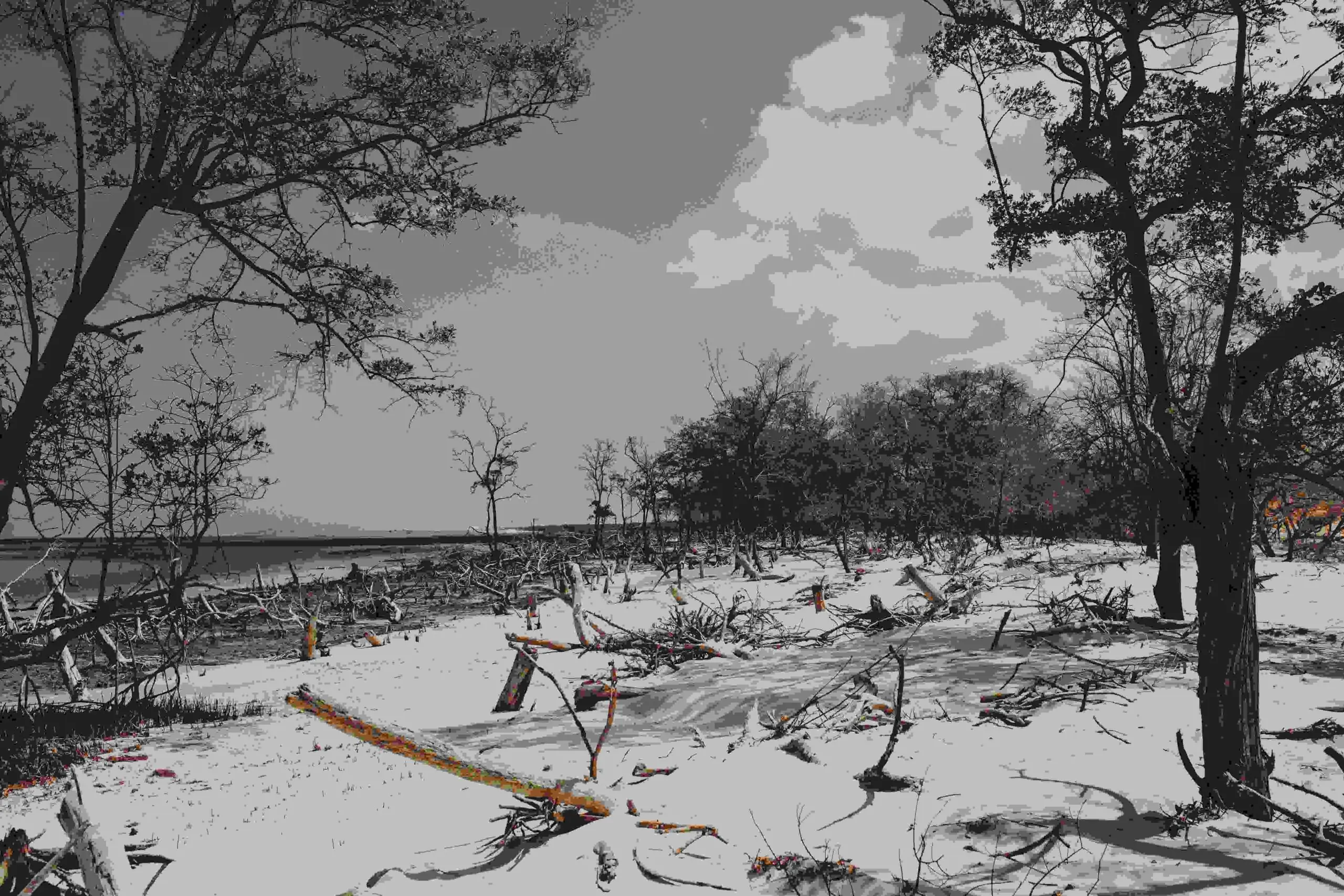 Viajar para Jeri Viajar para Jeri