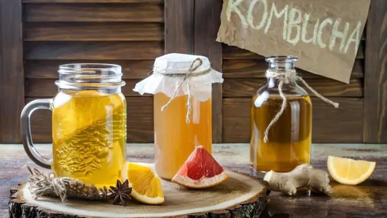 Kombucha: aprenda o que é e como fazer a bebida 