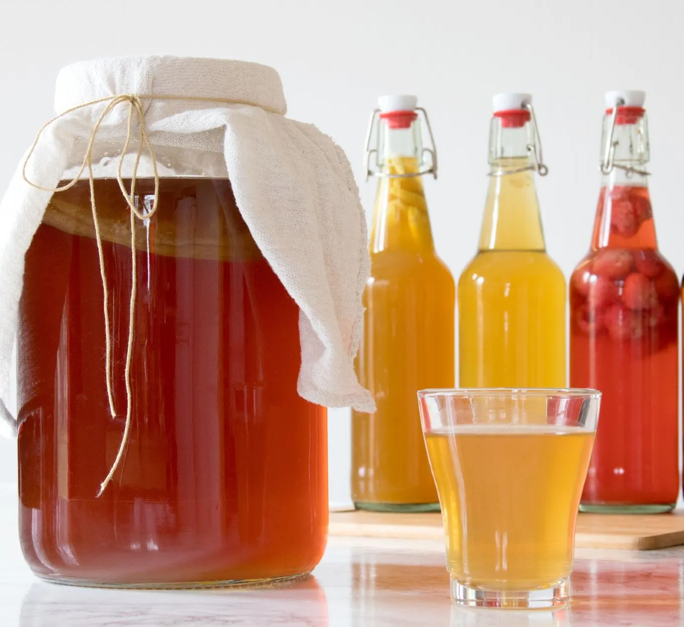 kombucha kombucha