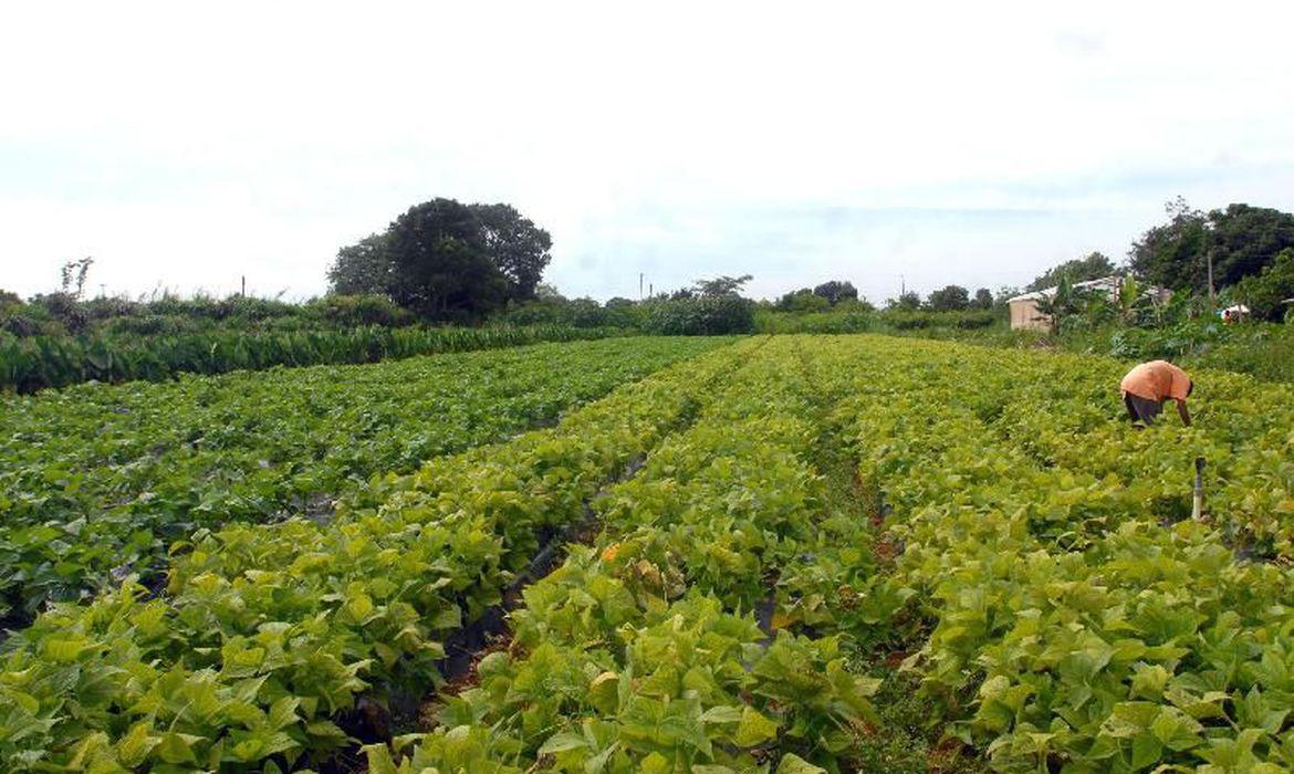 crédito rural para investimentos no setor agropecuário