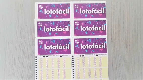 Resultado da Lotofácil 2090: aposta Sinop/MT leva mais de R$ 4 milhões