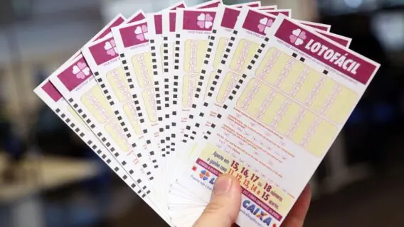 Lotofácil 2082 deste sábado [14] pode pagar R$ 1,5 milhão; veja como apostar