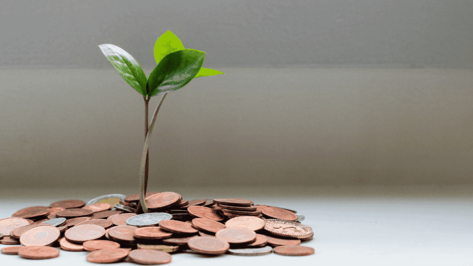 Melhores pagadoras de dividendos