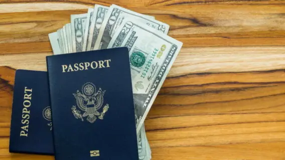 Cidadania europeia: por que o ex-CEO do Google foi atrás?