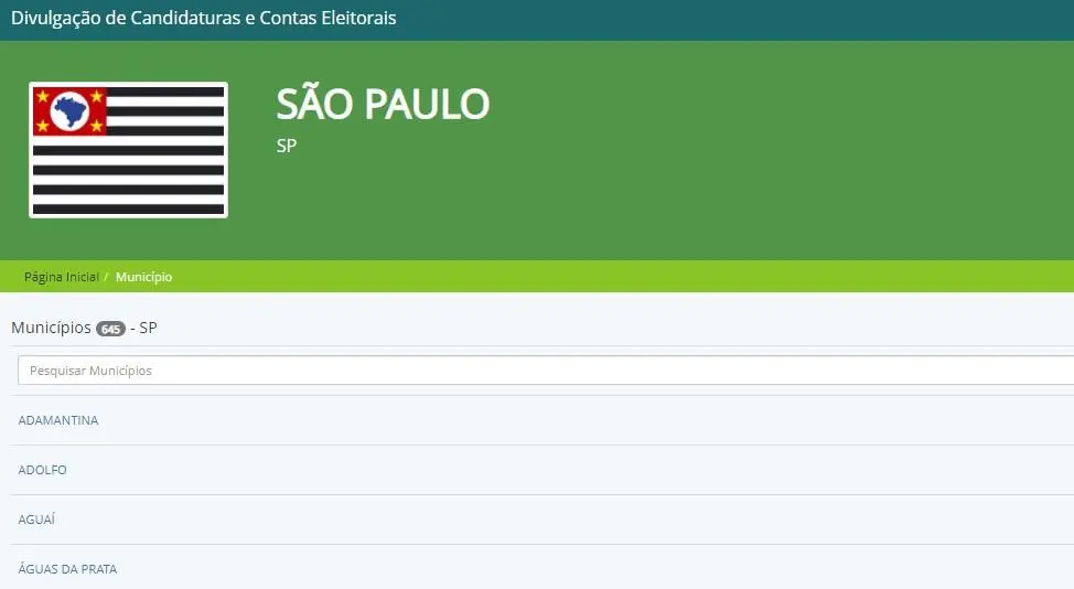 passo 3 como consultar candidatos eleições 2020