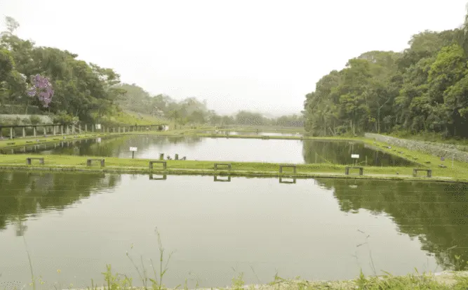 Pesqueiro Itapecerica