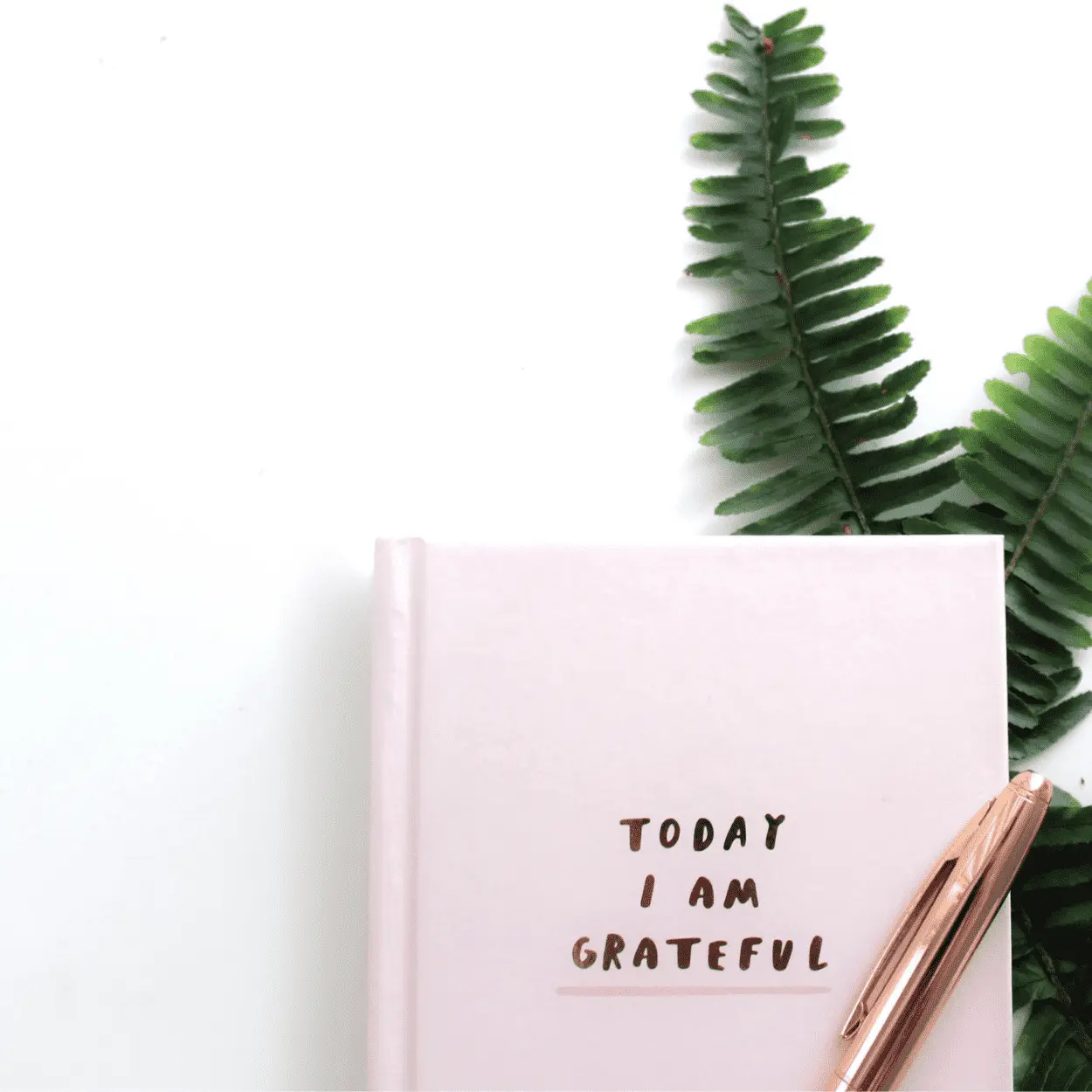 presente de Natal barato